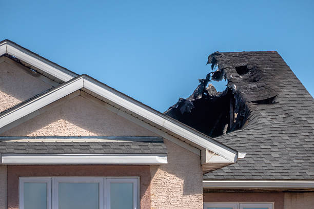 Top rated local Odor Removal specialists in Sun City Center, FL